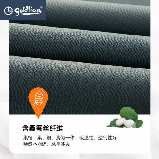 金利来桑蚕丝短袖t恤男士夏季薄款潮流透气真丝圆领休闲运动上衣体恤衫 D13601灰绿色 XL 175