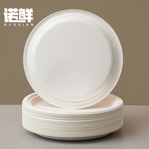 Nuoxian disposable paper plate kindergarten handmade DIY painting cake barbecue dinner plate paper plate large paper plate 12-inch 10-inch white round plate 20 pieces