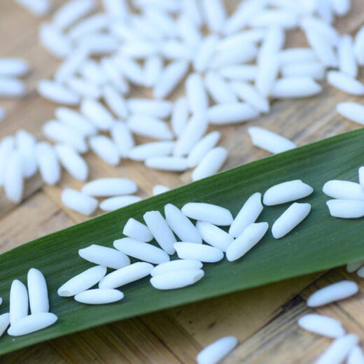 Guizhou glutinous rice seeds, long-grain fragrant glutinous rice seeds, paddy field seeds, Huinuo 330 pearl glutinous rice seeds, early and late rice seeds, regular Huinuo 330, one pack (500 grams of long glutinous rice)