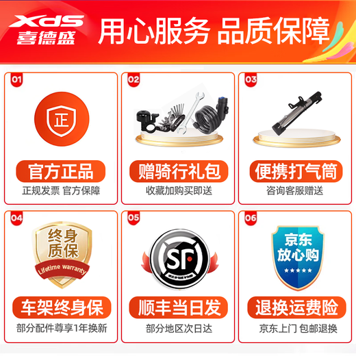 喜德盛（xds）25款RC200公路车自行车男士成人14速弯把女士学生通勤锻炼rc200 【送骑行礼包】黑银|顺泰 14速 510mm身高175-185厘米