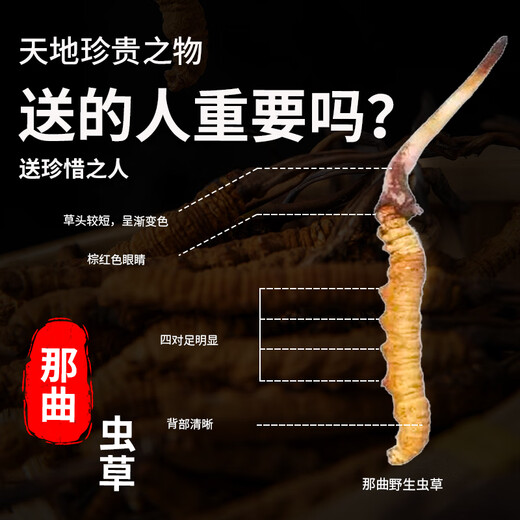 观采归西藏那曲野生冬虫夏草鲜虫草补品送长辈老年人营养礼盒礼品实用 野生头茬鲜草约0.6g/根 100根
