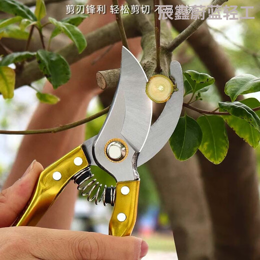 热卖SK5粗枝剪园林园艺修枝剪修剪果树剪花卉稀果剪采摘水果神器 园艺修枝剪GARDENA12202