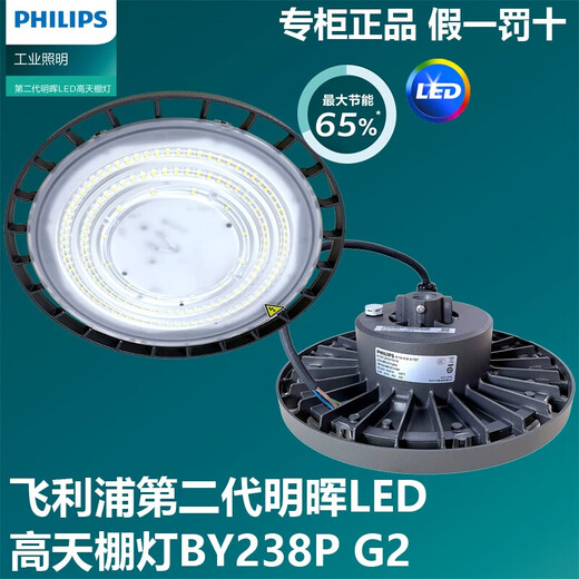 PHILIPS BY238PLED INDUSTRIAL UND BINBIES LICHT BY698P High Deckenleuchte 60W100W 150W Werkslicht Workshop 150W