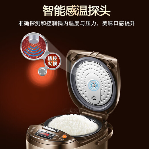 苏泊尔（SUPOR）电饭煲家用4-5人柴火饭电饭锅5L大容量球釜内胆微压焖香蛋糕功能家用微压智能SF50FC733