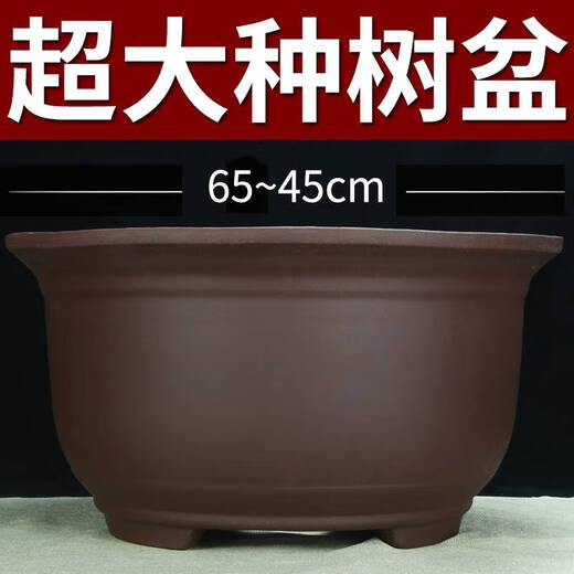 特大号紫砂花盆种树老桩60cm以上超大种发财树铁树陶瓷盆 854一套三个