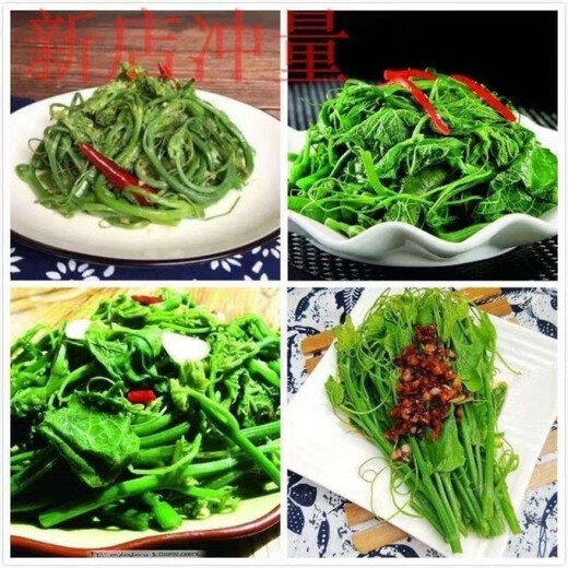 Pick undefeated and delicious luffa-tip asparagus heat-resistant vegetables, four-season luffa-tip asparagus seedlings, farm vegetable larvae, fragrant and tender luffa-tip asparagus seeds, new seeds this year, new seeds every particle, 3 packs of about 108 seeds + fertilizer