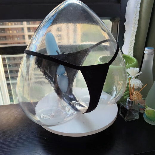 T-string men's sexy transparent see-through opening breathable JJ sleeve bag T underwear U convex temptation bullet separation white XL