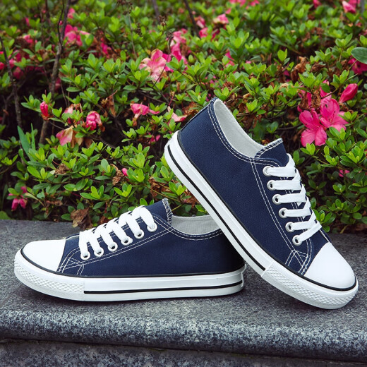 
European Pastoral couple canvas shoes for men 2025 summer new low top casual sports shoes for men trendy and versatile (PJ) 6621 blue 38