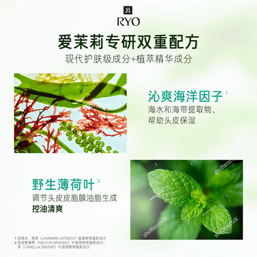 Ryo Green Lu Controlöl erfrischend Shampoo Reinigungsporen ohne Silikonöl Shampoo 400 ml