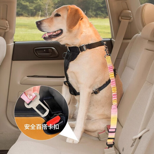 Yuying pet car traction rope safety belt high elastic car seat fixed car safety traction rope orange powder 2.5*60--80cm
