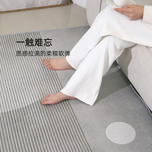 温诗欧客厅地毯免洗易打理极简风2025新款轻奢沙发地垫可擦房间卧室 15601 240*300cm(定制款)