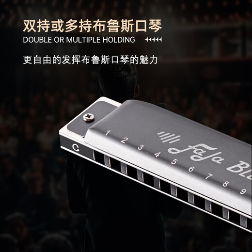 东方鼎12孔布鲁斯口琴全音阶低音46带FaLa初学者成人专业演奏琴无需压音 C调【树脂琴格】灰色