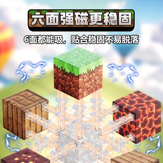 丹米琦我的世界磁力方块积木玩具儿童大颗粒积木益智玩具3-6岁生日礼物