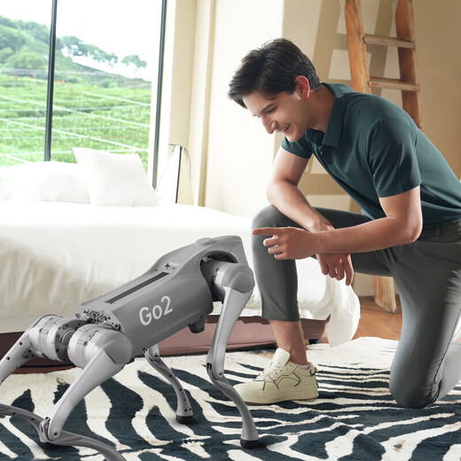 Yushu (Unitree) Voice AI Model Robot Dog Electronic Dog verkörperte Intelligenz Begleitung Bionischer Begleiter Roboter Vierbeiner Roboter Hund Spot Go2-pro+ Fernbedienung