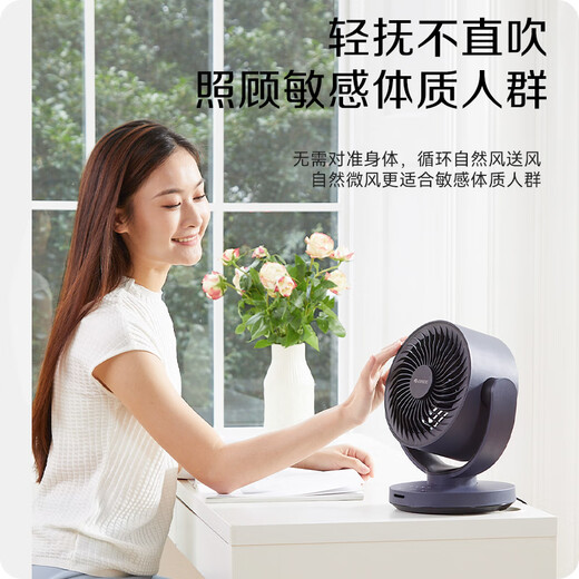 Ventilador de circulación de aire Gree Ventilador de escritorio Ventilador eléctrico Ventilador eléctrico BAO Control remoto Pequeño ventilador de temblor Ventilador de ventilación Turbo ventilación Ventilador de convección FXT-1506BG3
