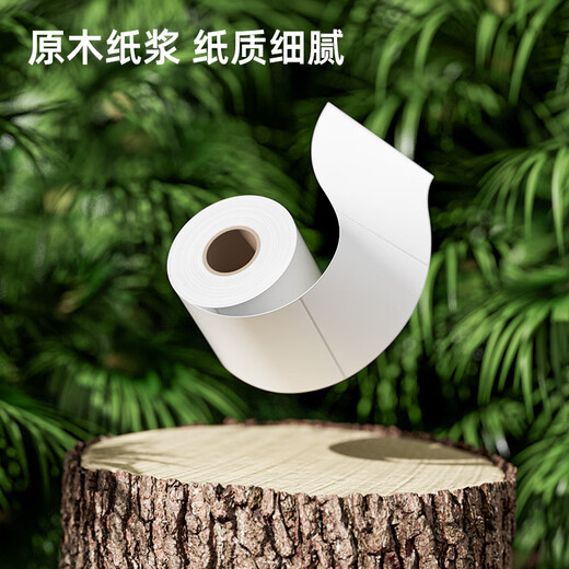 得力三防热敏标签打印纸 快递面单不干胶打印纸 货物条码标签纸 12109 100*70mm-690枚