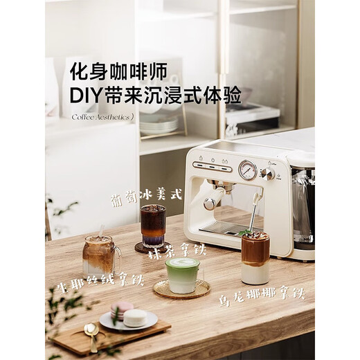 Stelang Coffee Machine Stelang ST-693 Máquina de café italiano para el hogar Pequeño concentrador semiautomático Americano Integrado con Foam de leche de vapor Máquina de café italiano Café personalizado