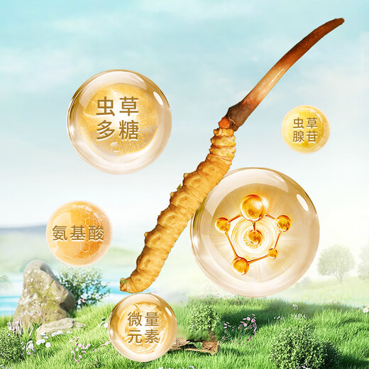 Zangqingyuan [erstes Stoppeln frisches Gras im Jahr 2025] Fresh Cordyceps sinensis, frischer Cordyceps in der ersten Stufe, Geschenkbox für frische Gras, frisches Gras 0,7 g/Wurzel, 50 Wurzeln
