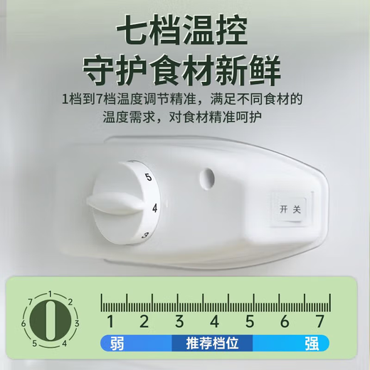 Royalstar Kühlschrank Kleiner Haushalt Erstklassig Stromsparend Mietwohnheim Frisch Einfrieren Mini-Wohnheim Kühlschrank Leise Geräuscharme Kühlung Energiesparend Mietwohnheim Zwei Türen Drei Türen Luftgekühlt Frostfrei Erstklassig Stromsparend | 42 Liter silberne Direktkühlung, Höhe 70 cm