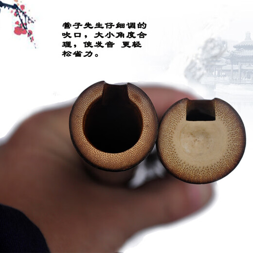 管子先生特制九节紫竹洞箫精品八孔六孔GAFE调精品演奏萧乐器 6孔F素箫