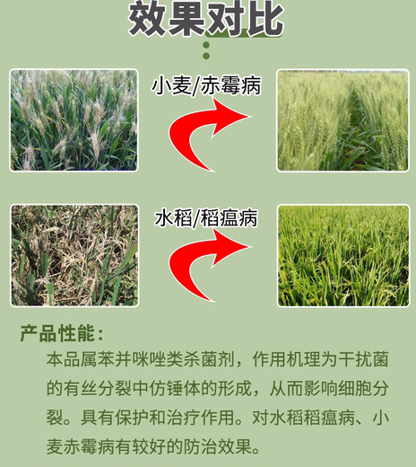 50%多菌灵杀菌剂果树瓜果蔬菜土壤杀菌花卉植物杀菌药白粉稻瘟病 1000g