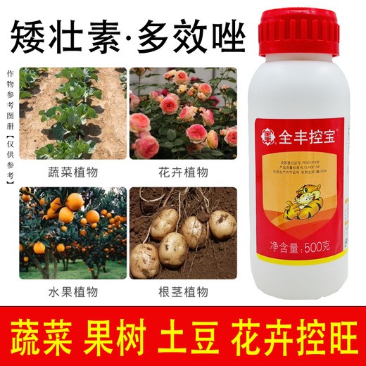 Chrysanthemum agent plant Chrysanthemum chrysanthemum general flowers and trees narcissus flower succulent paclobutrazol chrysanthemum multi-effect 500ml exclusive for large households