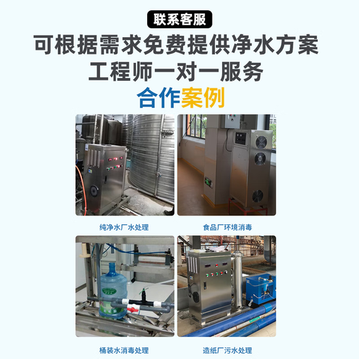 Feili ozone generator industrial pure water treatment water plant pipeline water-cooled disinfection machine high concentration rapid disinfection and algae removal A series 830A 300
