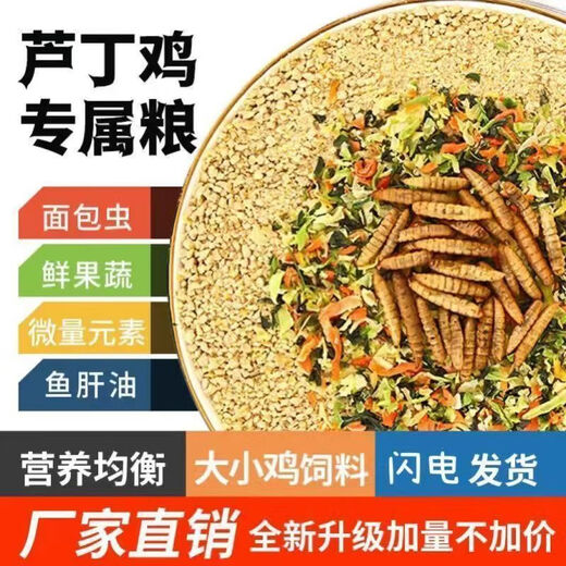 Rutin chicken special feed Rutin chicken egg production feed mealworm brooding feed quail feed high protein 2Jin Jin equals 0.5 kg brooding food containing mealworms dried vegetables