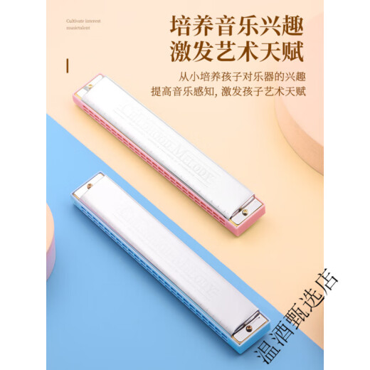孔声正品口琴24孔复音c调初学者学生入门儿童男女自学专用口风琴乐器 24孔复音C调-蓝色+原厂配置【音标款】