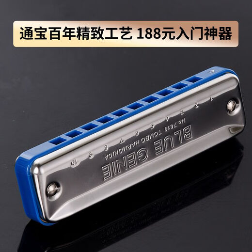 通宝（TOMBO）通宝7610十孔口琴初学者入门布鲁斯口琴小学生paddy C调- 常用调式