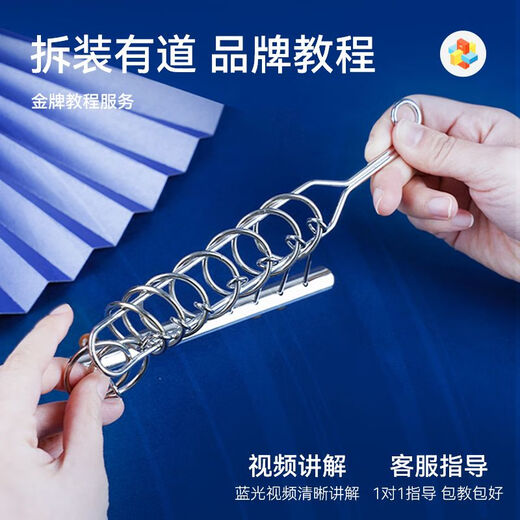 梵达森（FAN DA SEN）九连环益智玩具全套鲁班锁儿童智力解扣24件套孔明锁解锁环小学生 解环9件套【盒装】