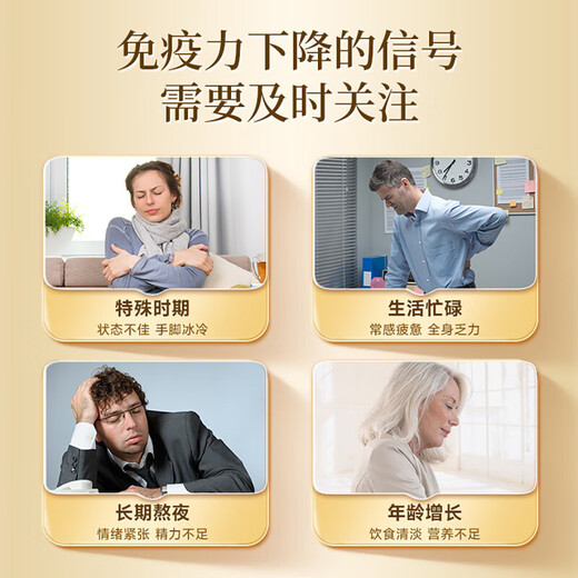 内廷上用北京同仁堂葛根灵芝孢子粉胶囊孢子粉萃取营养保健品送礼 0.4g*40粒/罐