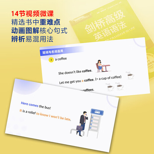 剑桥高级英语语法 赠视频讲解课 第四版中文版 English Grammar in Use 英语在用