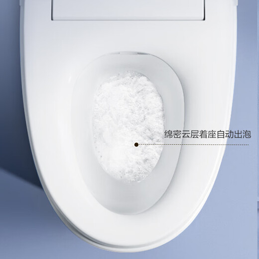 Hengjie (HEGII) H35PRO Smart Smart H35Pro Flip Flip Ring Presión de agua ilimitado Inicio inteligente HCE863B01-30 [Bomba dual Bomba silenciosa] La distancia de pozo H33A es 300-390 Elija 305