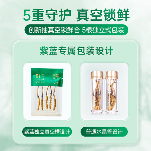 Purple and blue flowers sea fresh Cordyceps sinensis first stubble Cordyceps gift box for self-use 1.3-1.4g/root 30