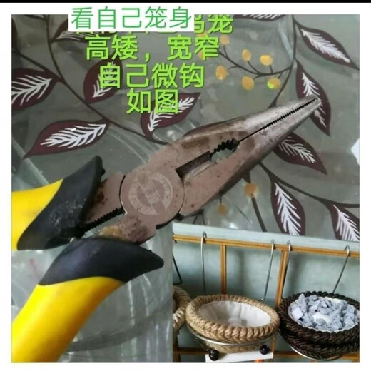 Runhuanian bird's nest single nest breeding bird's nest wax-billed snow dove jade bird hibiscus bird golden green gray swallow bird gold wire inside 10 hemp single nest without nest frame