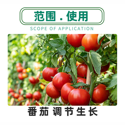 3% Sodium Nitrate Soluble Agent Tomato Growth Regulator Pesticide Plant Growth Regulator 1000g*1 Bottle