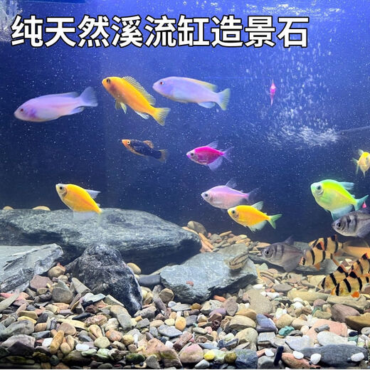 Stream stone ultra-fine bottom sand fish tank turtle tank bottom sand stream sand bottom stone fish tank landscaping stone native stone 3 to 5 cm 30 Jin Jin is equal to 0.5 kg.