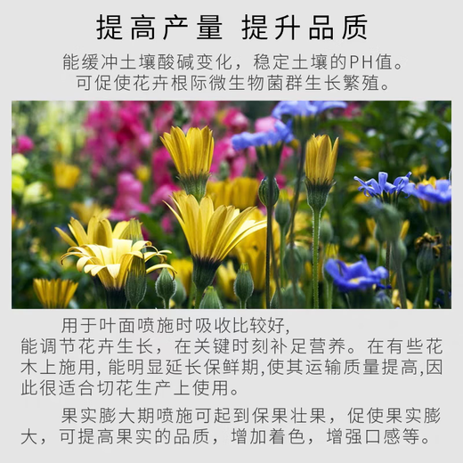 Guoguang Potassium Dihydrogen Phosphate Fertilizer Plant Flower Special Foliar Fertilizer Clivia Large Element Water-Soluble Fertilizer Agricultural Use 98% Content 2000g 100g 20 Bags