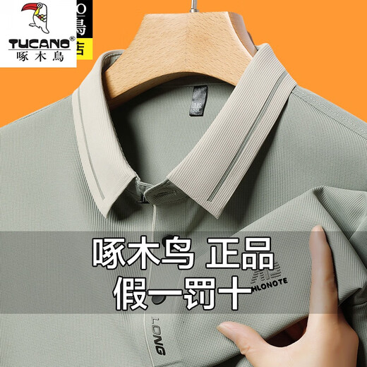 啄木鸟男士长袖Polo衫2025新款春秋季高弹无痕冰感大码T恤爸爸打底衫 A16823浅绿 L 120-135斤穿