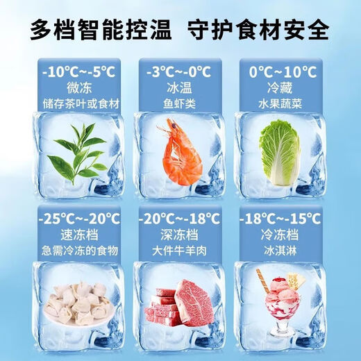 冰熊（bingxiong）冰柜商用省电王家用冰箱铜管大容量双温冷冻冷藏双门卧式冷柜 BC/BD-1098