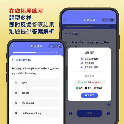 剑桥高级英语语法 赠视频讲解课 第四版中文版 English Grammar in Use 英语在用