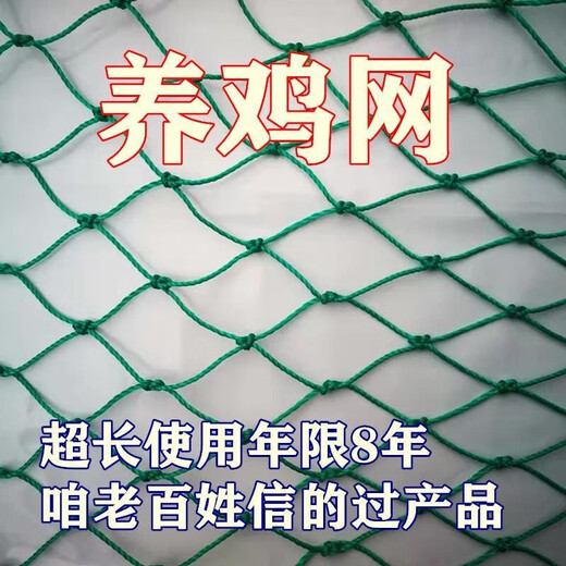 Chicken net, chicken net, fishing net, breeding net, fence net, nylon vegetable garden fence, climbing vine grid, chicken net, protective fish net, thickened 18 strands, 3 cm, thickened ribs, 1.2 meters high, 10 meters long