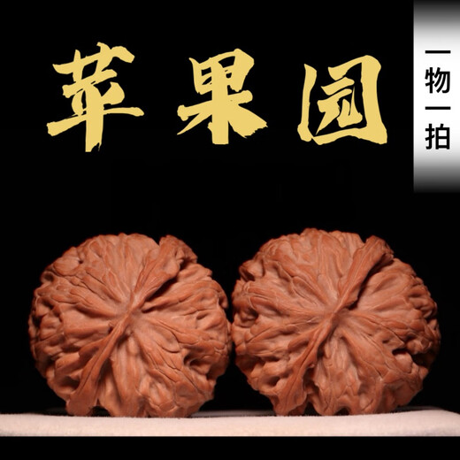 
DR-FLVVS Nanjiang Stone Walnut Cultural Play Apple Orchard Lion Head Mentougou Old Tree Short Stump Pointed Pointed Sphere Playing Non-Four Buildings 16778[45 Apple Orchard]