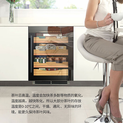 DBERLAN 40-piece under-counter embedded wine cabinet, constant-temperature wine cabinet, beverage cabinet, tea refrigerated cabinet, built-in wall for home use, high-end vacuum door-electric door, dual temperature, 46 pieces (scheduled period of 35 days) 46 bottles