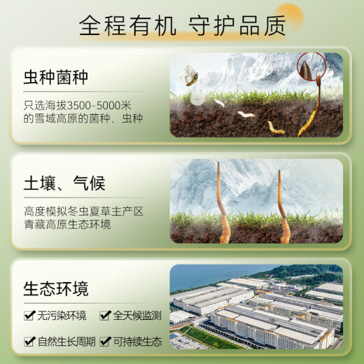 东阳光冬虫夏草3-4根/g10根滋补礼盒冬虫草营养品补品送长辈端午节礼物