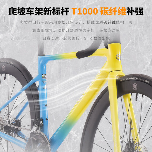 SAVA SAWA FALCON SLR7S FILLE FIBRE DE CARBONE R7170 TRANSMISSION ELECTRONIQUE VÉLO HIET PURE DISC PURE COMPACTION DE CONCONTATION PANDA PANDA COULEUR-SLR7S-R7120-24S-OIL Brake 490-XS [Hauteur suggéré 160cm-165cm]