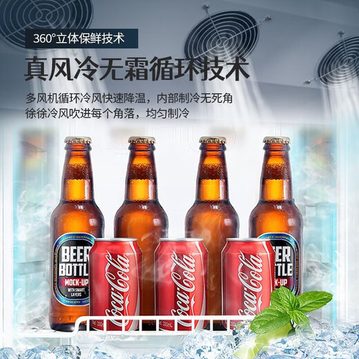Snowflake large-capacity beverage cabinet commercial freezer direct refrigeration display cabinet wine cabinet pure air-cooled frost-free fresh-keeping cabinet supermarket glass door refrigerator vertical beer cabinet large double door丨energy-saving and efficient copper tube丨direct cooling 2026 new upgrade丨360 cycle rapid cooling