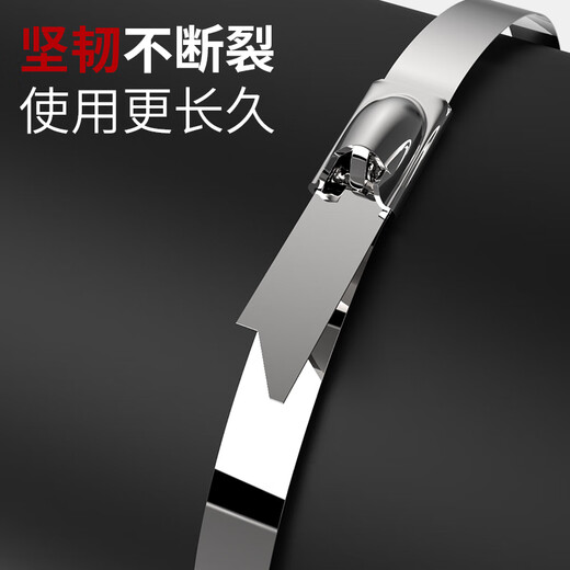 卡夫威尔卡夫威尔 不锈钢扎带自锁式304金属扎线理线绑线户外耐高低温绑带 7.9*300MM20支装   OT3291
