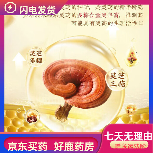 北京同仁堂药房直售 破壁灵芝孢子粉 有机认证高含量孢子粉 送长辈成年 1盒